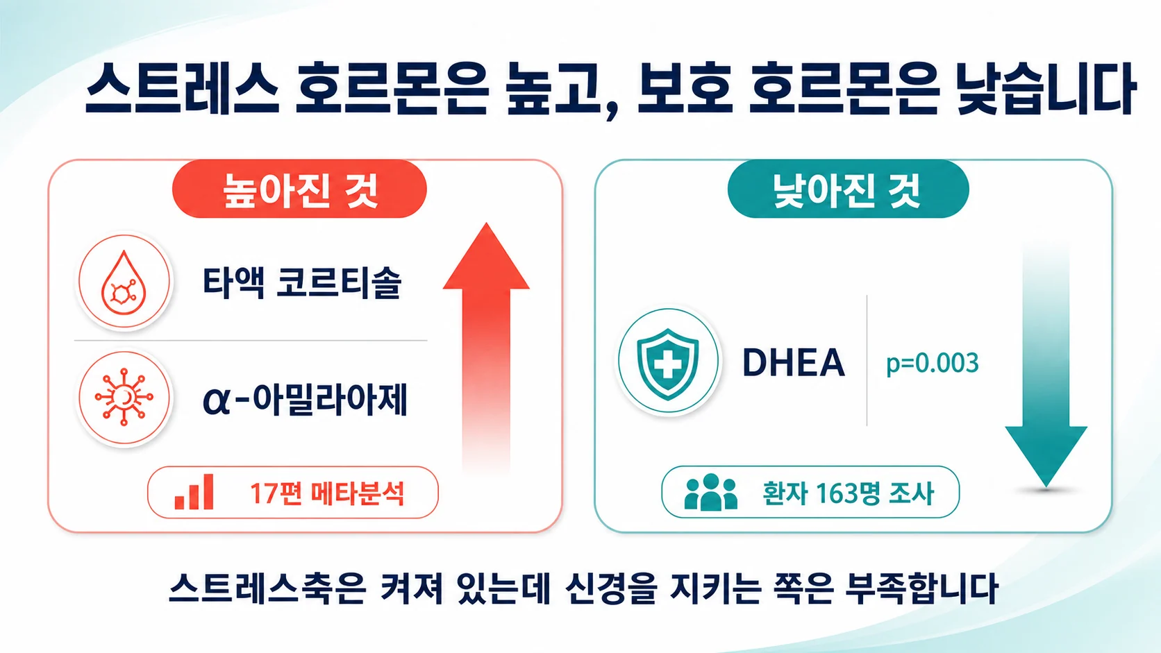 타액 코르티솔은 높고 DHEA는 낮은 호르몬 불균형을 보여주는 도표