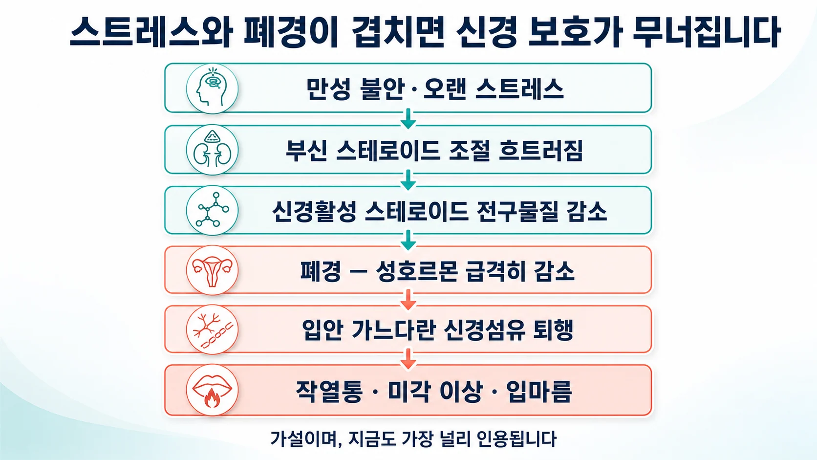 스트레스와 폐경이 겹쳐 신경보호 호르몬이 무너지는 과정 도해