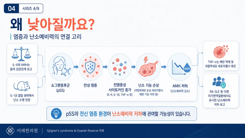 만성 염증과 난소 예비력 저하의 기전