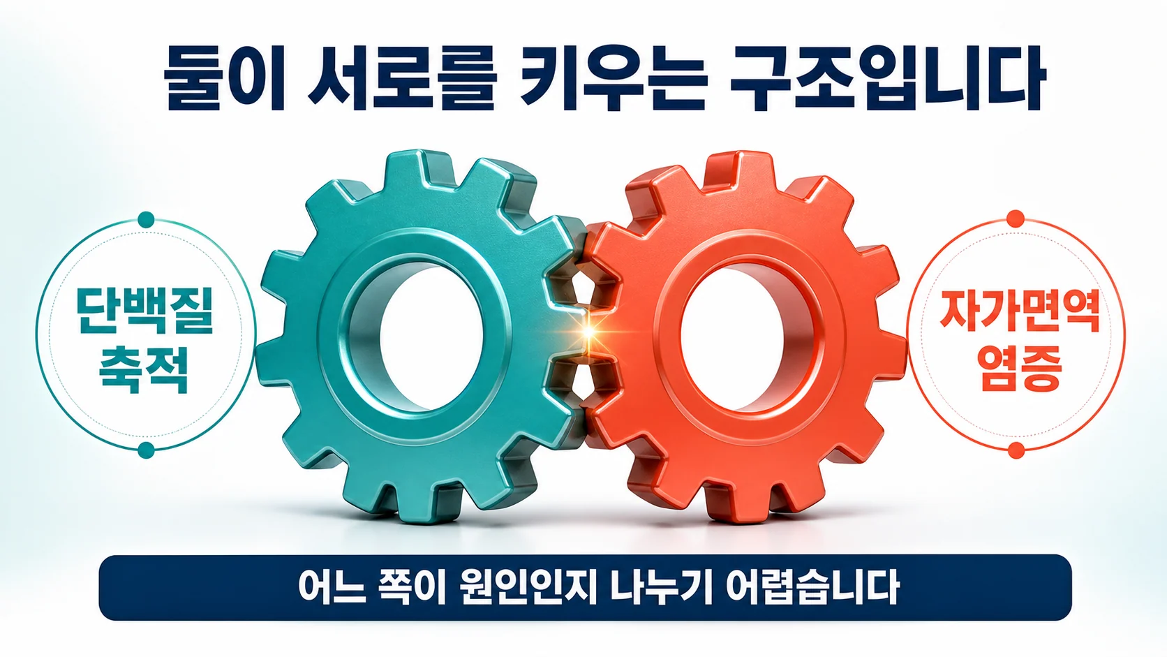 파킨슨병을 단백질 축적과 자가면역 염증이 서로를 키우는 구조로 설명한 도식