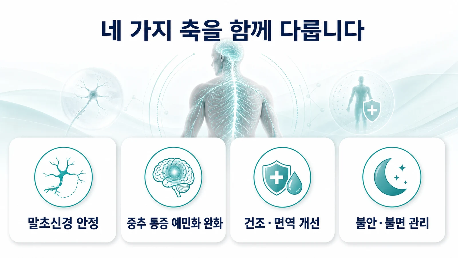 말초신경·중추감작·건조면역·불안불면 네 축 치료