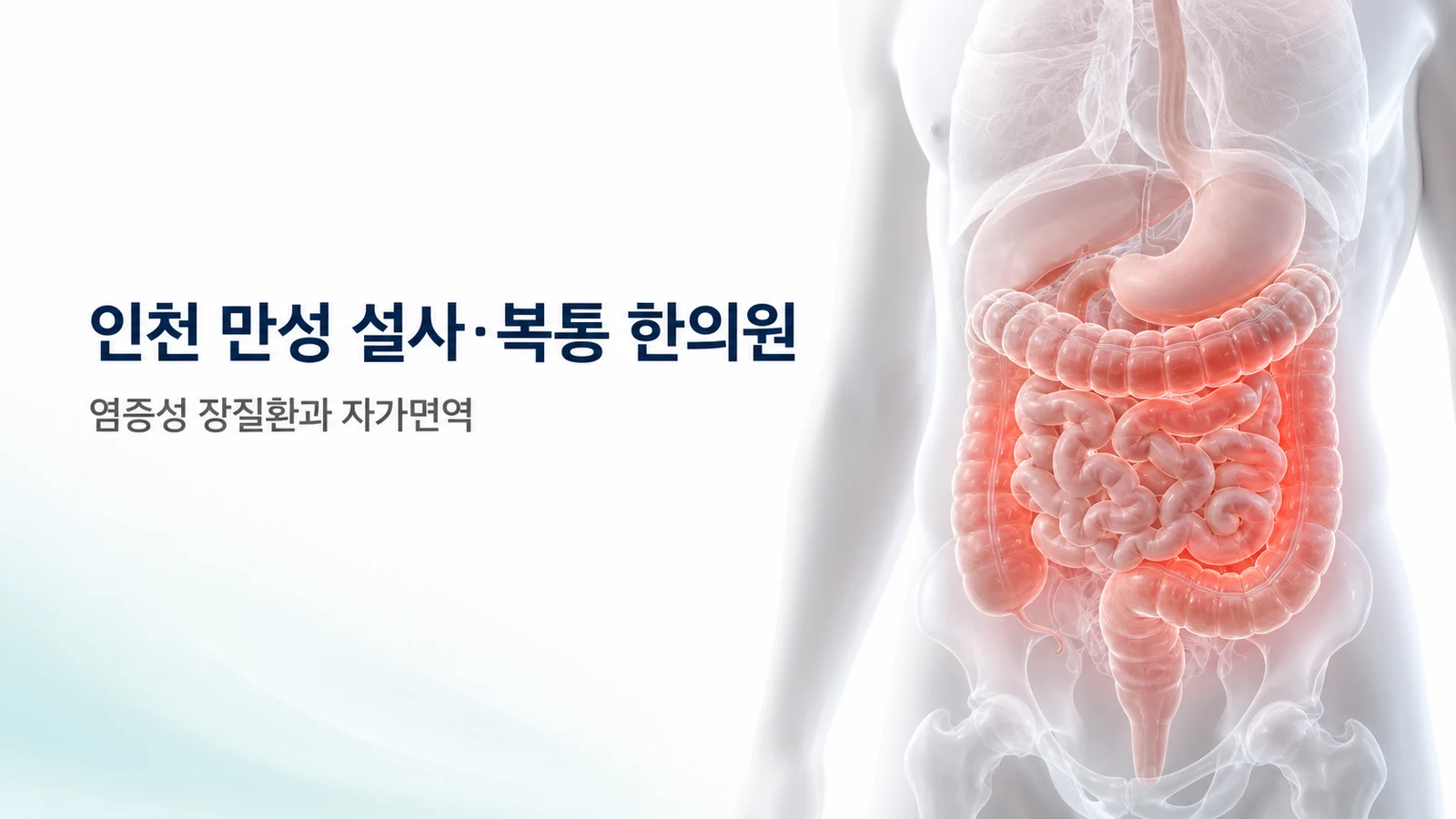 만성 설사·복통 — 염증성 장질환과 자가면역