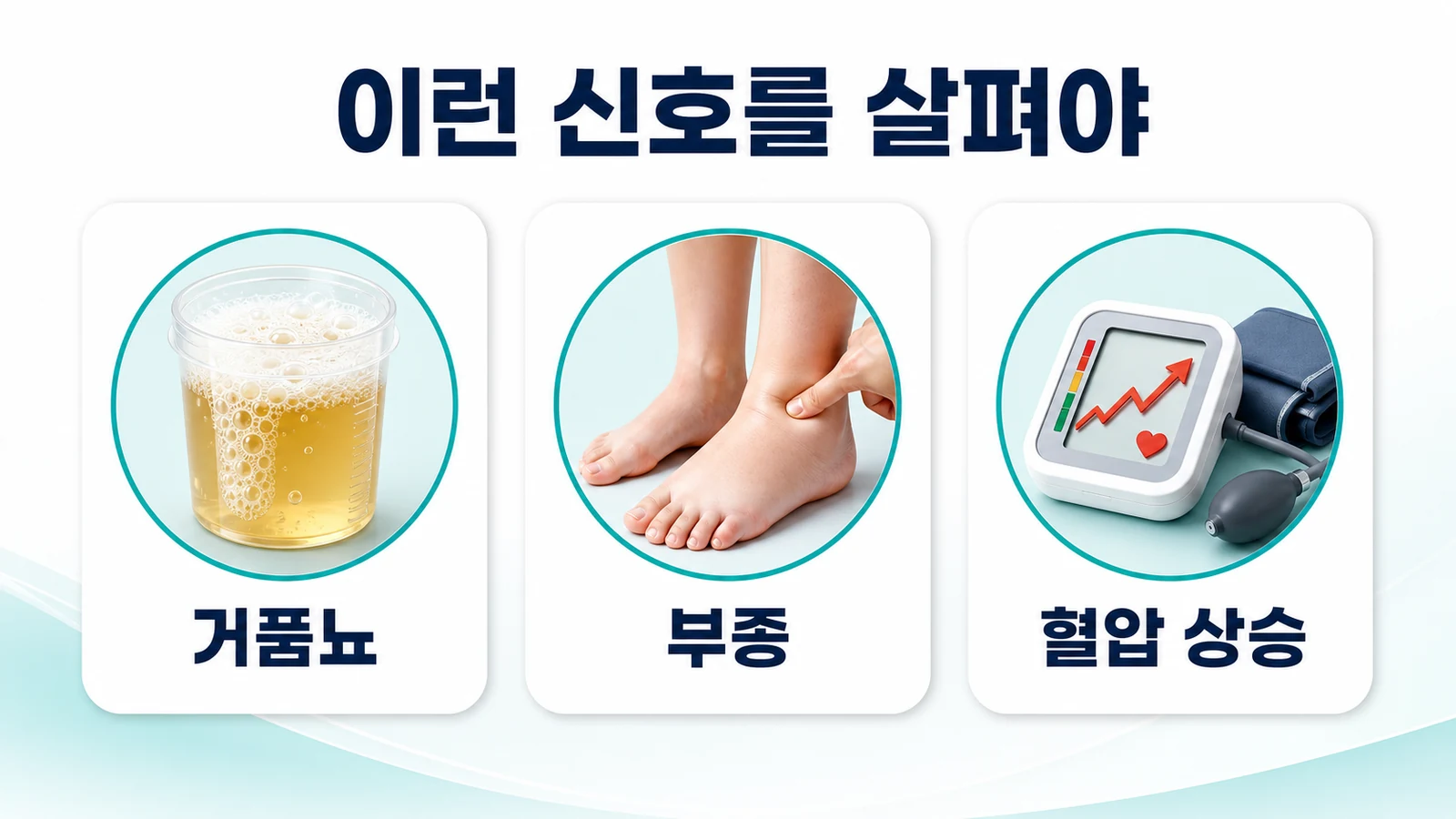 루푸스 신염, 단백뇨·부종