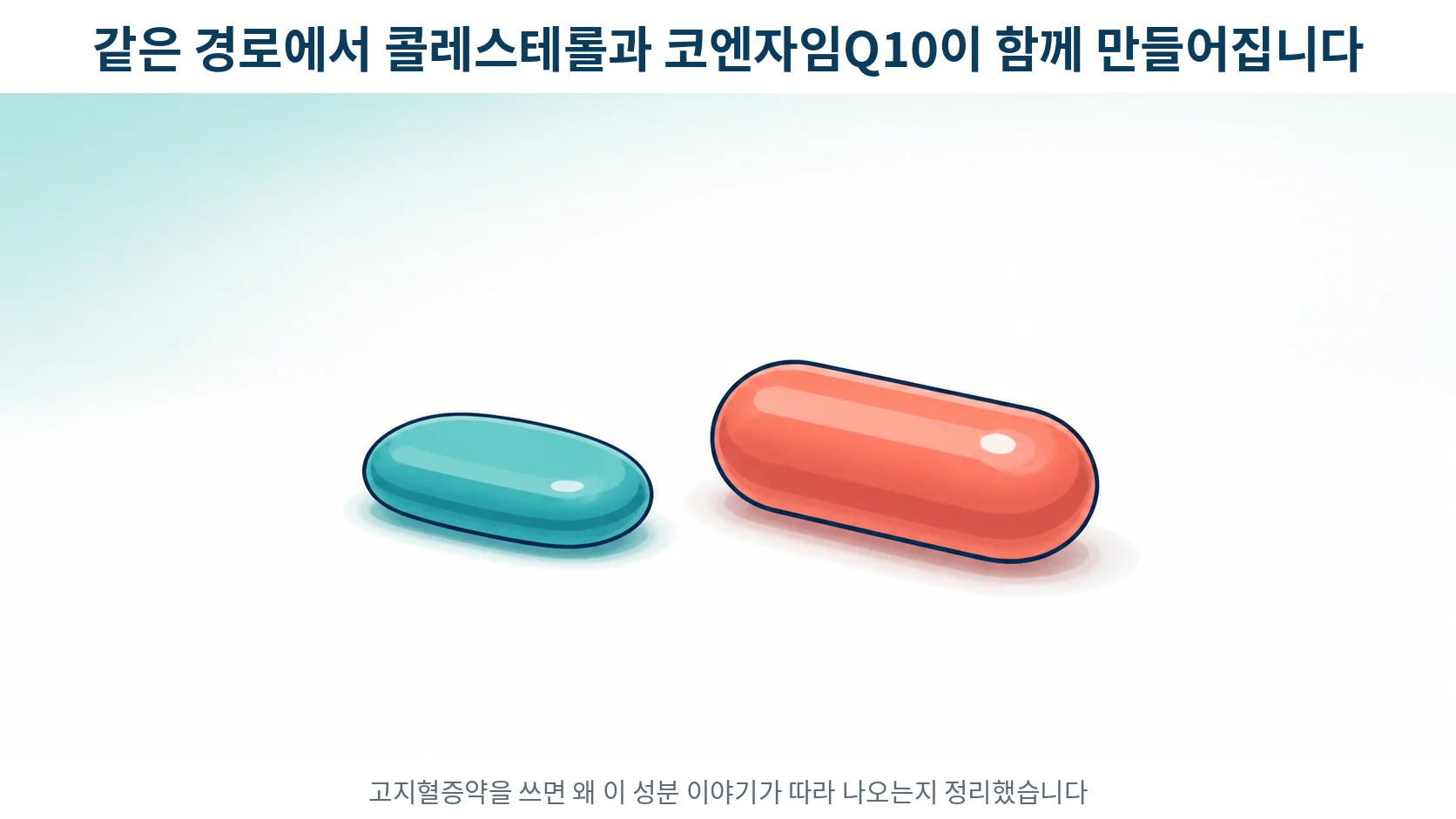 책상 위에 놓인 알약 한 알과 영양제 한 알을 나란히 그린 부드러운 선화 일러스트