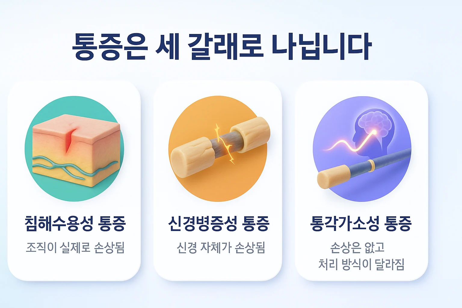 침해수용성 통증과 신경병증성 통증, 통각가소성 통증의 차이를 정리한 그림