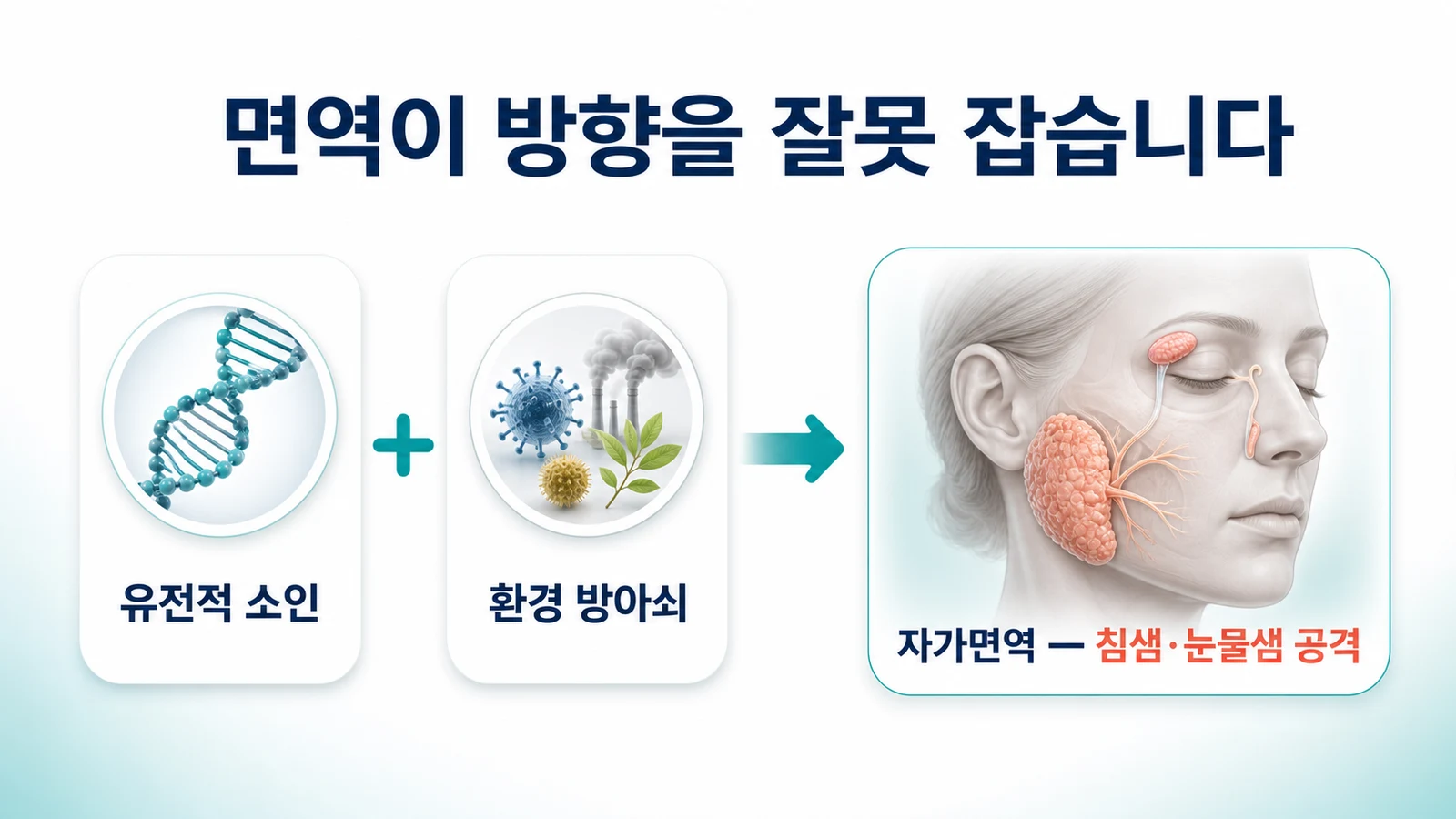 유전적 소인과 환경 방아쇠가 겹쳐 자가면역이 시작된다