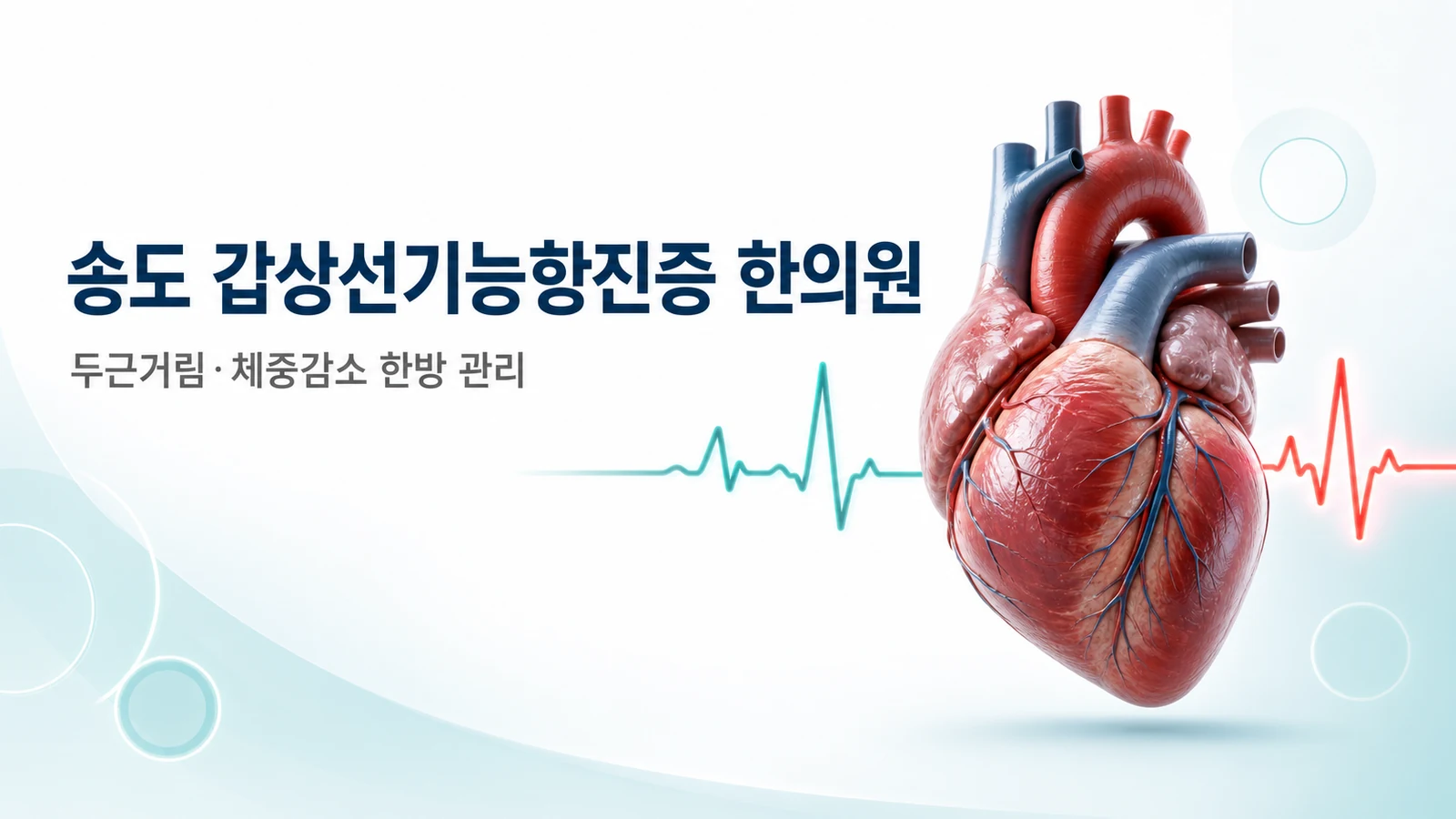 갑상선기능항진증 — 두근거림·체중감소 한방 관리