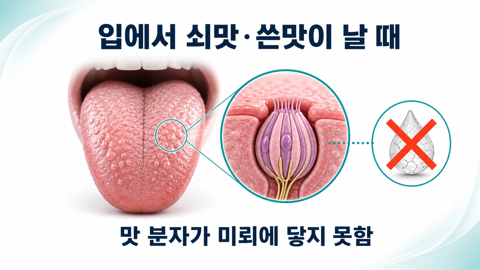 입에서 쇠맛·쓴맛이 날 때