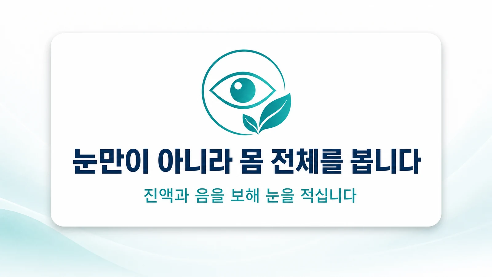 눈만이 아니라 몸 전체를 봅니다