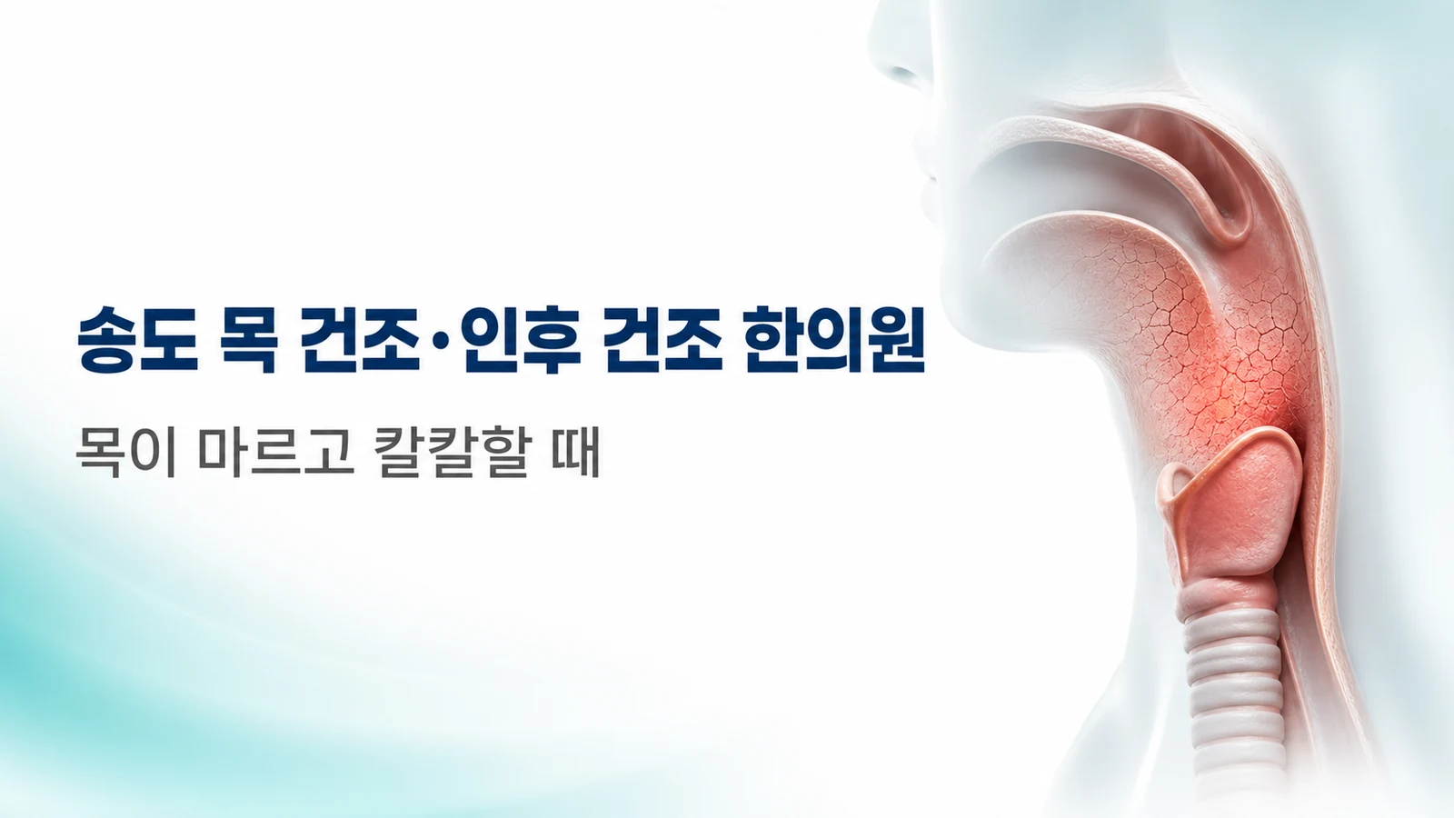목 건조·인후 건조 — 목이 마르고 칼칼할 때 치료